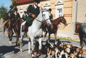 Reiter mit Hundemeute